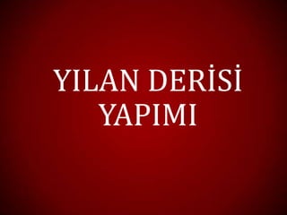 YILAN DERİSİ
   YAPIMI
 
