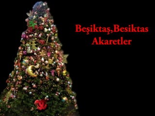 Beşiktaş,Besiktas Akaretler