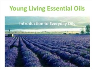 Introduction to Essential Oils Class - NEW