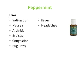 Peppermint
Uses:
• Indigestion
• Nausea
• Arthritis
• Bruises
• Congestion
• Bug Bites
• Fever
• Headaches
 