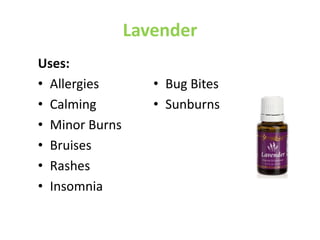 Lavender
Uses:
• Allergies
• Calming
• Minor Burns
• Bruises
• Rashes
• Insomnia
• Bug Bites
• Sunburns
 