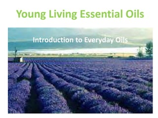 Young Living Essential Oils
Introduction to Everyday Oils
 