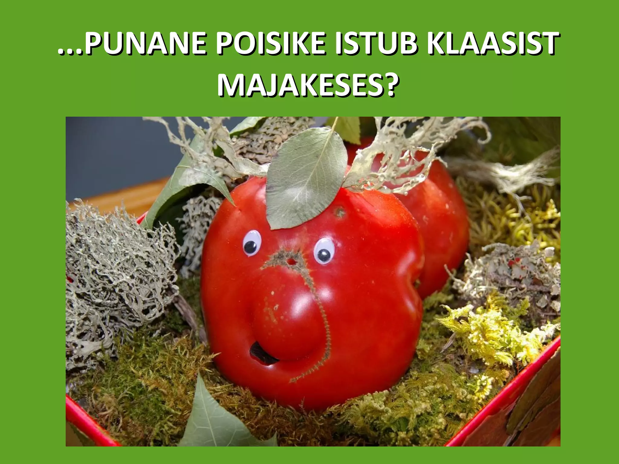 ...PUNANE POISIKE ISTUB KLAASIST MAJAKESES? 