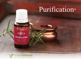 Purification ® 