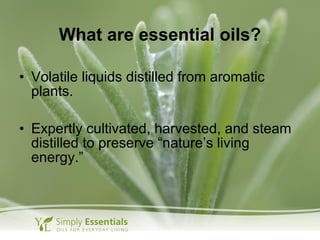 What are essential oils?
• Volatile liquids distilled from aromatic
plants.
• Expertly cultivated, harvested, and steam
distilled to preserve “nature’s living
energy.”
 