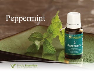 Peppermint
 