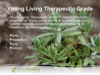Young Living Therapeutic Grade
Young Living Therapeutic Grade™ means that every
essential oil Young Living distills or sources has the
optimal naturally-occurring blend of constituents to
maximize the desired effect.
• Plants
• Preparation
• Purity
• Potency
 