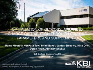 a customer and science-focused
contract development & manufacturing organization
OPTIMIZATION OF GLYCOSYLATION AND
CHARGE ...