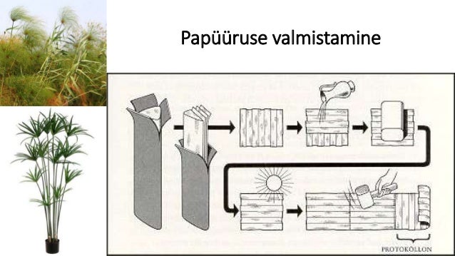 vana-egiptuse