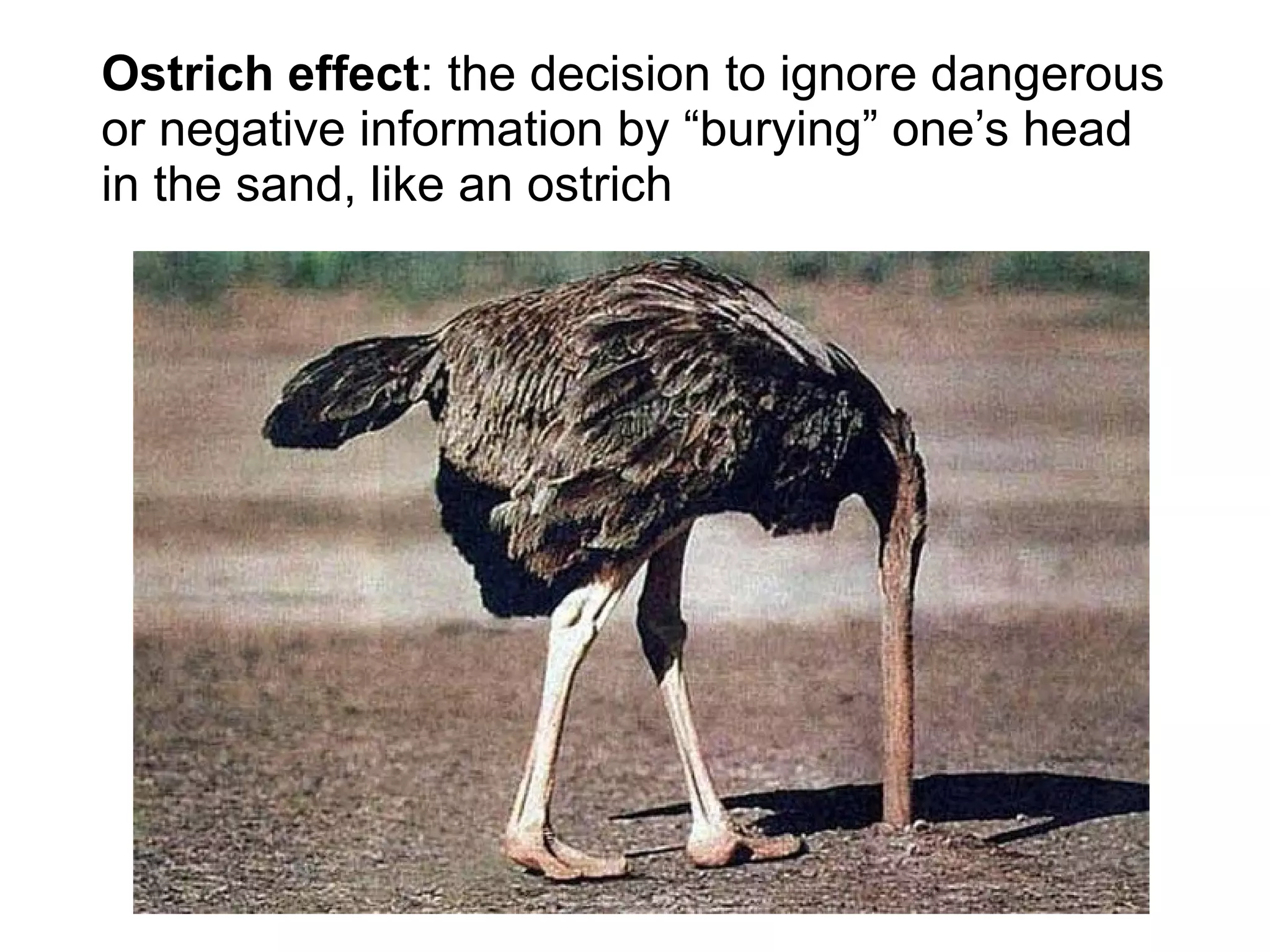 Ostrich effect: the decision to ignore dangerous
or negative information by “burying” one’s head
in the sand, like an ostrich
 