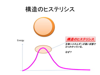 構造のヒステリシス
Energy
生物＝エネルギーが高い状態で
ひっかかっている。
なぜ？
構造のヒステリシス
 