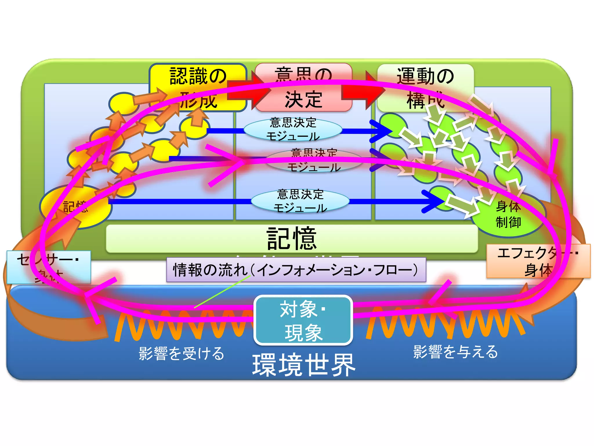 知能の世界
環境世界
認識の
形成
記憶
意思の
決定
身体
制御
エフェクター・
身体
運動の
構成
センサー・
身体
意思決定
モジュール
意思決定
モジュール
意思決定
モジュール
対象・
現象
情報の流れ（インフォメーション・フロー）
影響を与える影響を受ける
記憶
 