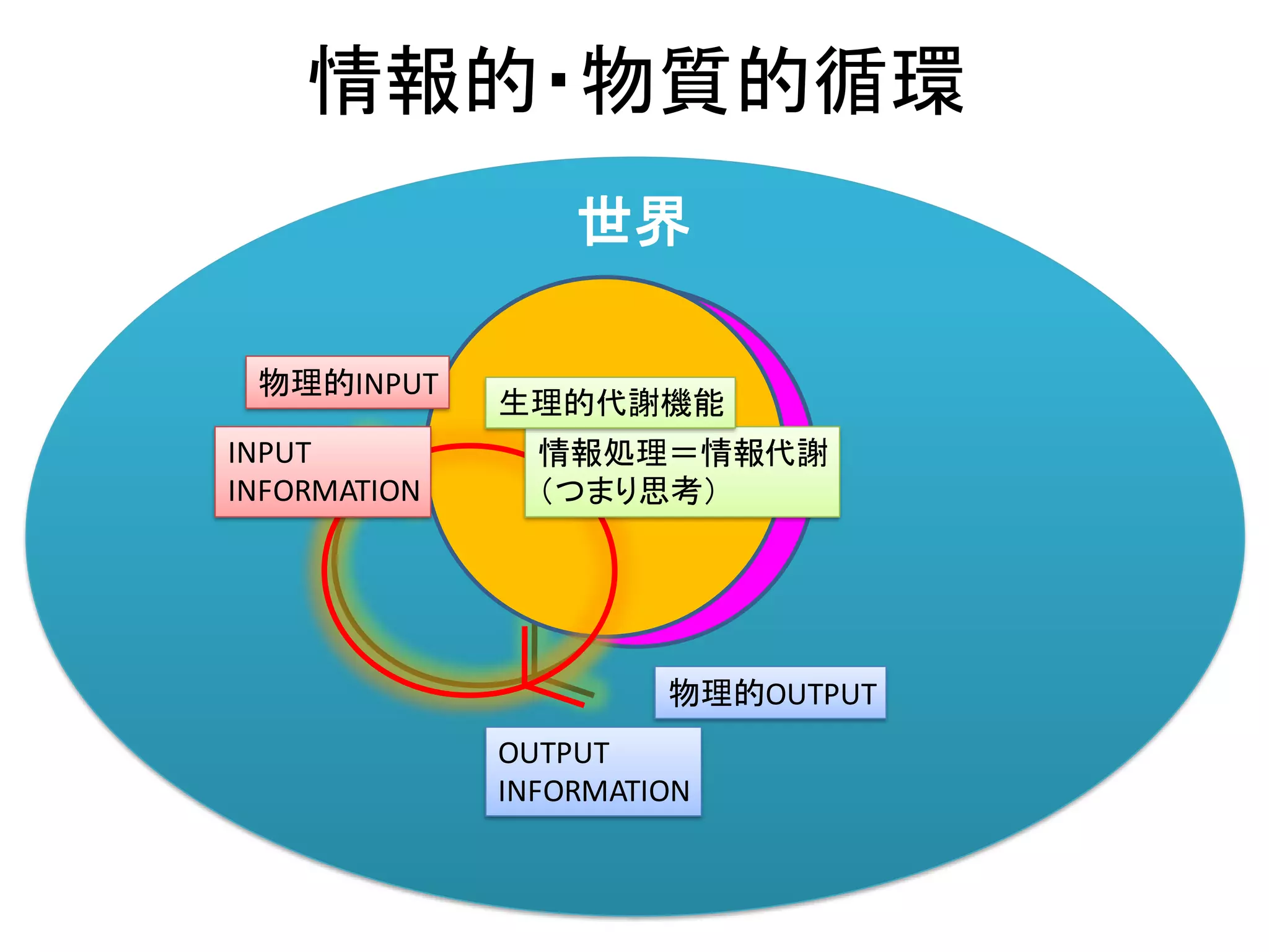 世界
情報的・物質的循環
物質
物理的OUTPUT
代謝機能情報INPUT
INFORMATION
OUTPUT
INFORMATION
情報処理＝情報代謝
（つまり思考）
生理的代謝機能
物理的INPUT
 