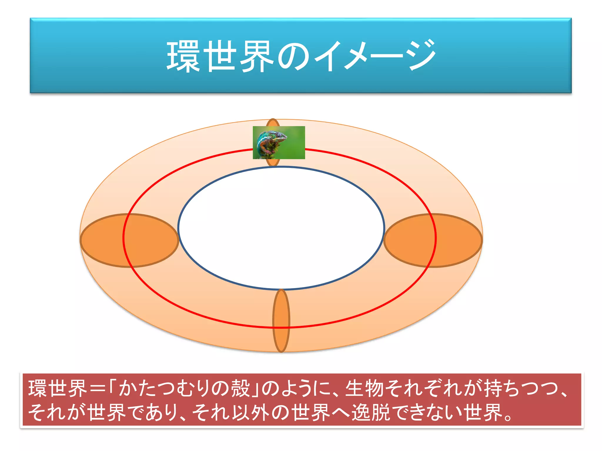 環世界のイメージ
環世界＝「かたつむりの殻」のように、生物それぞれが持ちつつ、
それが世界であり、それ以外の世界へ逸脱できない世界。
 