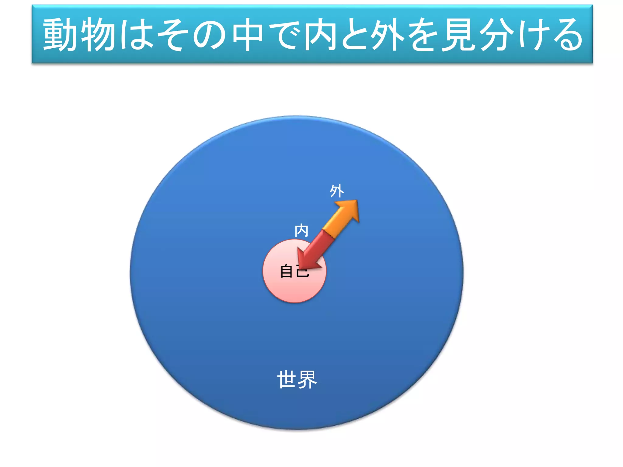 動物はその中で内と外を見分ける
世界
自己
内
外
 