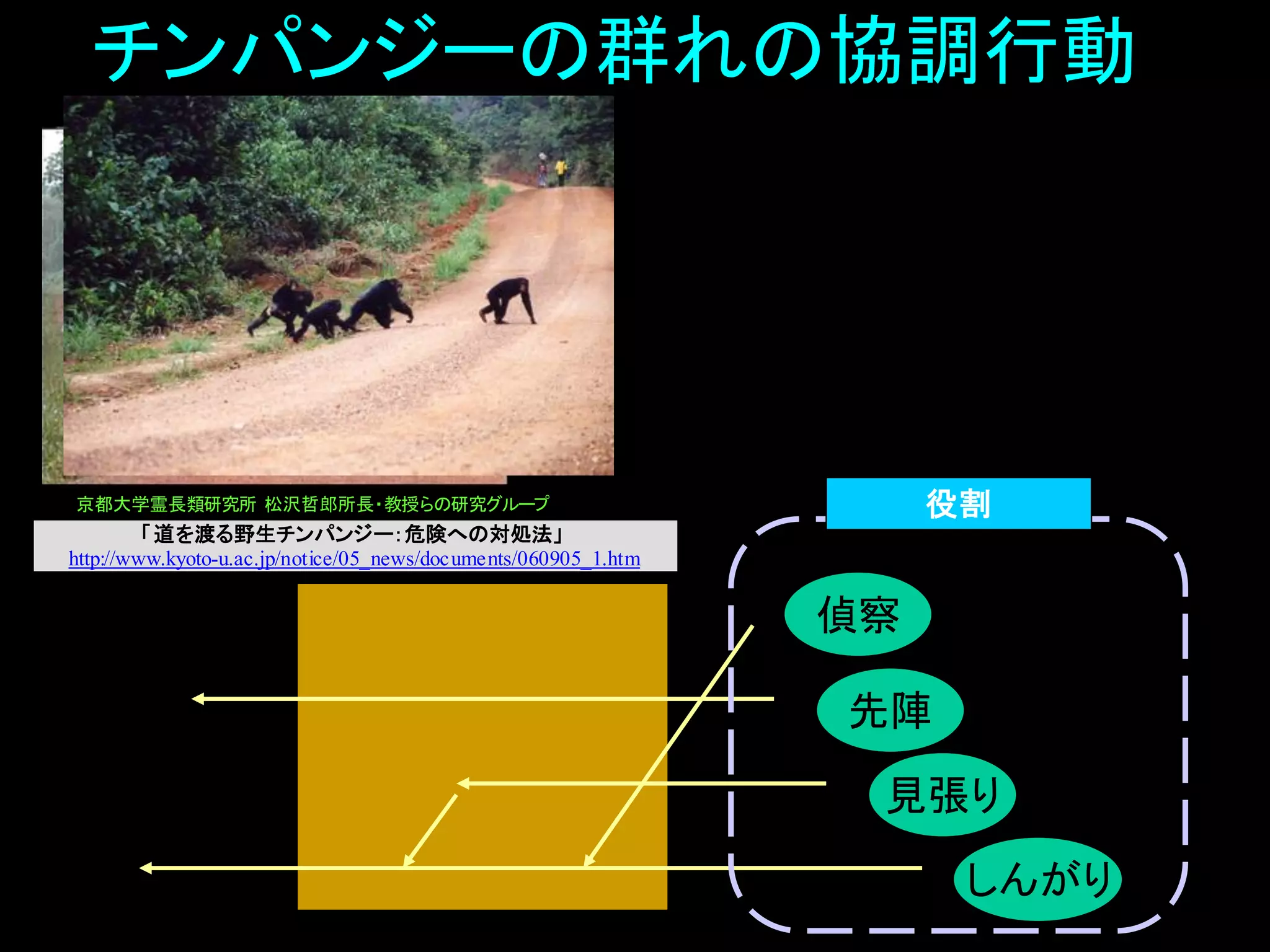 「道を渡る野生チンパンジー：危険への対処法」
http://www.kyoto-u.ac.jp/notice/05_news/documents/060905_1.htm
チンパンジーの群れの協調行動
偵察
見張り
先陣
しんがり
京都大学霊長類研究所 松沢哲郎所長・教授らの研究グループ 役割
 