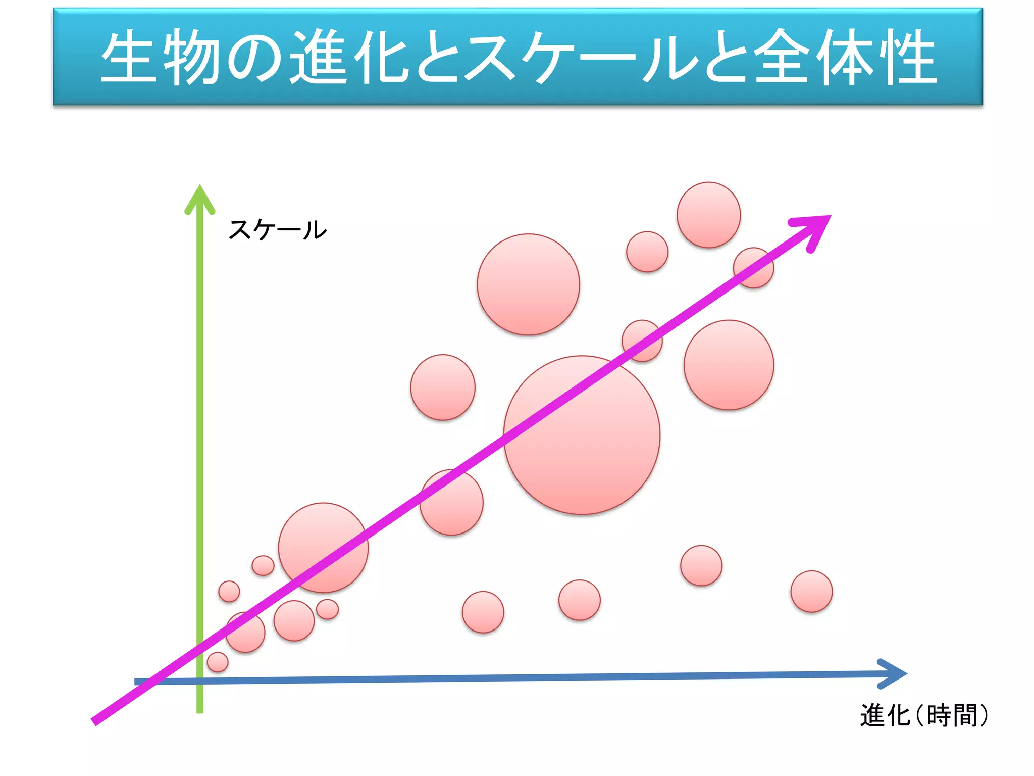 生物の進化とスケールと全体性
スケール
進化（時間）
 