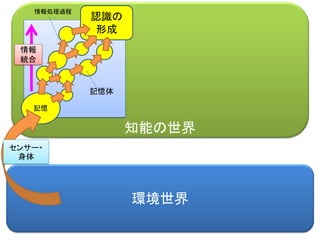 知能の世界
環境世界
認識の
形成
記憶
センサー・
身体
記憶体
情報処理過程
情報
統合
 