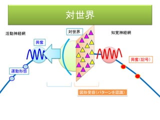 サブサンプション・アーキテクチャ（ロドニー・ブルックス）
INPUT OUTPUT
時間
情報抽象度
反射的に行動
少し場合ごとに対応
抽象的に思考
理論的に考える
言語化のプロセス
= 自意識の構築化
Subsumpution Architecture
運動の実現のプロセス
= 身体運動の生成
 