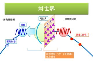 身体
身体の反射レベル
脳の原始的な部分の反射レベル
無意識の反射レベル
意志決定
物理
情報
身体
感覚
情報
抽象
知的
情報
情報の抽象度
時間進行（流れ）の方向
構造
構造
構造
身体は知覚対象としても作用対象としても、多層的な表現層を持つ。
＝マルチレイヤー構造＝ (Multi-layered Structure)
構造
 