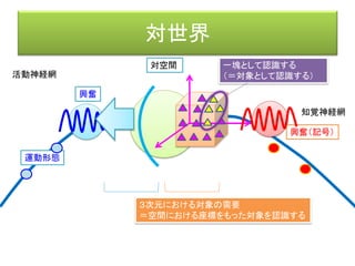 機能環
効果器
客体
活動神経網
知覚神経網
前野佳彦訳・ユクスキュル「動物の環境と内的世界」 （みすず書房）
知覚世界活動世界
知覚微表担体
対象化された機構
活動担体
内的世界
興奮
受容器（刺激→興奮（記号））
 