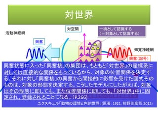機能環
効果器
客体
活動神経網
知覚神経網
前野佳彦訳・ユクスキュル「動物の環境と内的世界」 （みすず書房）
知覚世界活動世界
知覚微表担体
対象化された機構
活動担体
内的世界
興奮
受容器（刺激→興奮（記号））
すべての受容器は、外界の刺激を興奮に変換するという同一の
役割を担っている。つまり神経系を伝搬するのは刺激そのものでは
なく、その代理をするまったく異質の過程なのである。
その過程は、もはや環境中の事象とはまったく何の関係もなくなって
いる。それは、記号として（als Zeichen）、環境に刺激が存在し、
それが受容器に到達した、という事実を指し示すことができるだけで
ある。
このようにして外界の刺激は、ことごとく神経系の記号言語（eine
nervose Zeichensprache）に翻訳される。 (P.253)
ユクスキュル「動物の環境と内的世界」(原著：1921, 前野佳彦訳:2012)
 