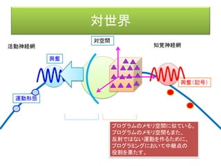 中枢神経網
効果器 受容器（刺激→興奮（記号））
客体
活動神経網
知覚神経網
前野佳彦訳・ユクスキュル「動物の環境と内的世界」 （みすず書房）
知覚世界活動世界
知覚微表担体
対象化された機構
活動担体
内的世界
興奮（記号）
興奮興奮
運動形態
＝特定の筋肉を動かす
中枢神経網
中枢神経網は興奮（記号）を受け取り、
その興奮の分別を行い（＝何を知覚しているか）、
活動神経網を興奮させる（＝筋肉を動かす）。
 
