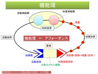 対世界
活動神経網 知覚神経網
興奮（記号）
興奮
対世界
運動形態
興奮核の平面構造
興奮
興奮
興奮
 