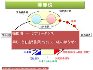 対世界
活動神経網 知覚神経網
興奮（記号）
興奮
対世界
運動形態
図形受容（パターンを認識）
色彩受容
 
