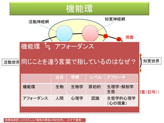 対世界
活動神経網
知覚神経網
興奮（記号）
興奮
対世界
運動形態
図形受容（パターンを認識）
色彩受容
一塊として認識する
（＝対象として認識する）
 