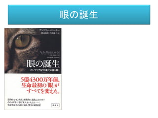 対世界
活動神経網 知覚神経網
興奮（記号）
興奮
対世界
運動形態
図形受容（パターンを認識）
色彩受容
運動受容
 