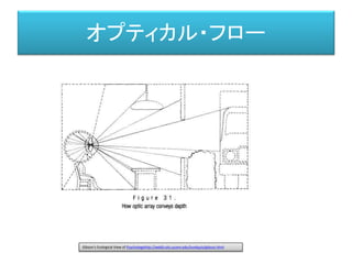 対空間
活動神経網 知覚神経網
興奮（記号）
興奮
対世界
運動形態
興奮核の平面構造
 
