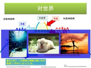 オブジェクト表現
これが車である
この方向に押せば動く
Dude, Where's My Warthog: From Pathfinding to General Spatial Competence, D. Isla, Invited talk, Artificial Intelligence and Interactive Digital Entertainment (AIIDE) 2005
http://naimadgames.com/publications.html
 