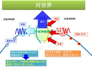 第二章 第二節
オプティカル・フロー
 