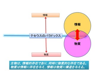 テセウスのパラドックス
物質的構成 ＝ 循環する
物質によらず不変なもの 構造 情報
 