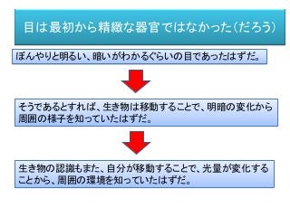 目は最初から精緻な器官ではなかった（だろう）
ぼんやりと明るい、暗いがわかるぐらいの目であったはずだ。
そうであるとすれば、生き物は移動することで、明暗の変化から
周囲の様子を知っていたはずだ。
生き物の認識もまた、自分が移動することで、光量が変化する
ことから、周囲の環境を知っていたはずだ。
 