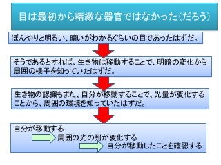 目は最初から精緻な器官ではなかった（だろう）
ぼんやりと明るい、暗いがわかるぐらいの目であったはずだ。
そうであるとすれば、生き物は移動することで、明暗の変化から
周囲の様子を知っていたはずだ。
生き物の認識もまた、自分が移動することで、光量が変化する
ことから、周囲の環境を知っていたはずだ。
自分が移動する
周囲の光の列が変化する
自分が移動したことを確認する
 