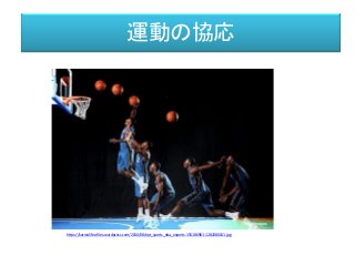 運動の協応
https://karmalifee.files.wordpress.com/2010/08/ept_sports_nba_experts-155186961-1282080011.jpg
 