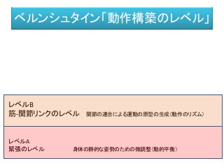 ベルンシュタイン「動作構築のレベル」
レベルB
筋-関節リンクのレベル 関節の連合による運動の原型の生成（動作のリズム）
レベルA
緊張のレベル 身体の静的な姿勢のための微調整（動的平衡）
 