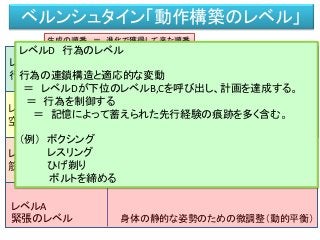 ベルンシュタイン「動作構築のレベル」
生成の順番 ＝ 進化で獲得して来た順番
レベルD
行為のレベル 運動を連鎖させて行為を作り出す（連鎖構造）
レベルC
空間のレベル その運動を周囲の空間に合わせる
レベルA
緊張のレベル 身体の静的な姿勢のための微調整（動的平衡）
レベルB
筋-関節リンクのレベル 関節の連合による運動の原型の生成（動作のリズム）
レベルD 行為のレベル
行為の連鎖構造と適応的な変動
＝ レベルDが下位のレベルB,Cを呼び出し、計画を達成する。
＝ 行為を制御する
＝ 記憶によって蓄えられた先行経験の痕跡を多く含む。
（例） ボクシング
レスリング
ひげ剃り
ボルトを締める
 