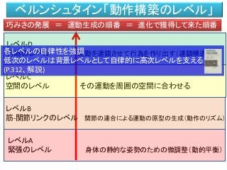 ベルンシュタイン「動作構築のレベル」
巧みさの発展 ＝ 運動生成の順番 ＝ 進化で獲得して来た順番
レベルD
行為のレベル 運動を連鎖させて行為を作り出す（連鎖構造）
レベルC
空間のレベル その運動を周囲の空間に合わせる
レベルA
緊張のレベル 身体の静的な姿勢のための微調整（動的平衡）
レベルB
筋-関節リンクのレベル 関節の連合による運動の原型の生成（動作のリズム）
各レベルの自律性を強調
低次のレベルは背景レベルとして自律的に高次レベルを支える
(P.312、解説)
 