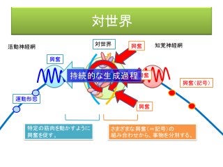 対世界
活動神経網 知覚神経網
興奮（記号）
興奮
対世界
興奮
興奮
興奮
運動形態
さまざまな興奮（＝記号）の
組み合わせから、事物を分別する。
特定の筋肉を動かすように
興奮を促す。
中枢神経網持続的な生成過程
 