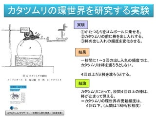 環世界のスキーム（機能環）
効果器 受容器
客体
活動神経網 知覚神経網
前野佳彦訳・ユクスキュル「動物の環境と内的世界」 （みすず書房）
知覚世界活動世界
知覚微表担体
対象化された機構
活動担体
内的世界
受容器
＝ 一定の刺激を受け取る
＋
定められた刺激以外のすべての刺激を捨象する
（知覚の統一性）
 
