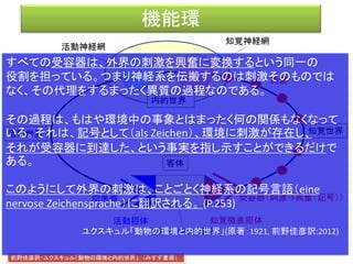 環世界のスキーム（機能環）
効果器 受容器
客体
活動神経網 知覚神経網
前野佳彦訳・ユクスキュル「動物の環境と内的世界」 （みすず書房）
知覚世界活動世界
知覚微表担体
対象化された機構
活動担体
内的世界
 