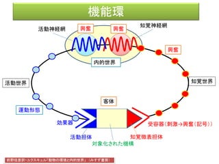 世界無限
こうした諸々の機能環によって、すべての動物の、その固有の環境と
緊密に連結される。 ユクスキュル「動物の環境と内的世界」(原著：1921, 前野佳彦訳:2012)
 
