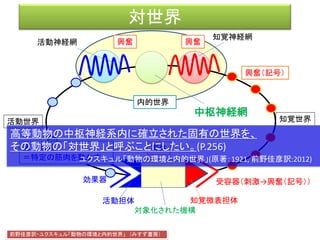 ユクスキュル「生物から見た世界」
(原著：1933, 翻訳:2005)
• 主体が知覚するものはすべてのその知覚世界になり、作用
するものはすべてその作用世界になるからである。知覚世
界と作用世界が連れだって環世界（Umwelt）という一つの完
結した全体を作りあげているのだ。（P.7）
• 環世界の研究の第一の課題は、動物の環境の中の諸知覚
標識からその動物の知覚標識を探り出し、それでその動物
の環世界を組み立てることである。（P.28）
 