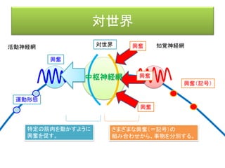 人工知能と環世界
 