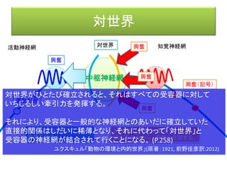 知能の世界
環境世界
認識の
形成
記憶
センサー・
身体
記憶体
情報処理過程
情報
統合
 
