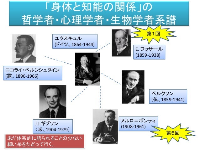 ルイスの関係