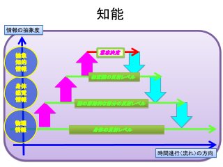 知能
身体の反射レベル
脳の原始的な部分の反射レベル
無意識の反射レベル
意志決定
物理
情報
身体
感覚
情報
抽象
知的
情報
情報の抽象度
時間進行（流れ）の方向
 
